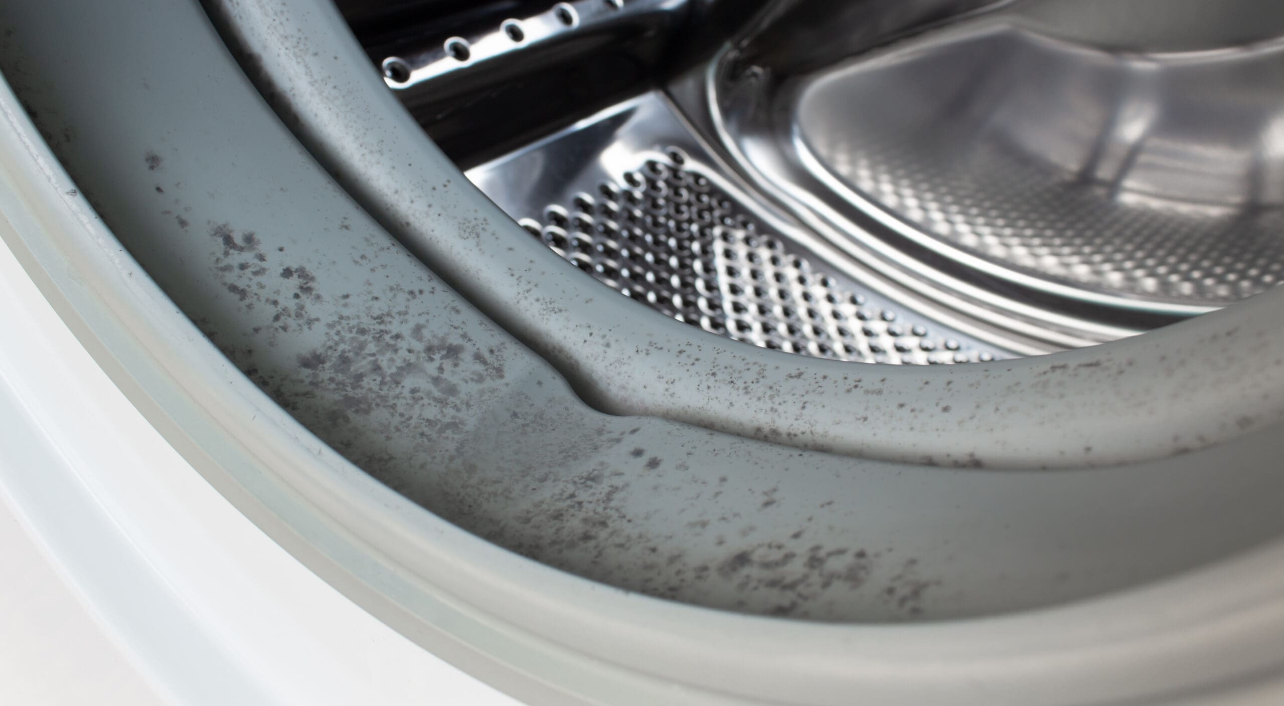 Close-up of a washing machine door seal with visible black mold spots and mildew, highlighting a need for cleaning and maintenance. The stainless steel drum is visible in the background.